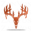 Deer Skull