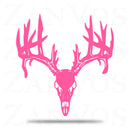 Deer Skull