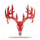 Deer Skull