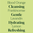 Defender Foaming Hand Soap Refill 1 Gallon