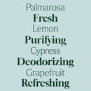 Deodorizing Powder