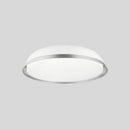 Deyra Ceiling Light