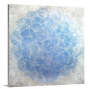 Dichondra - Limited Edition Canvas Print