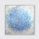 Dichondra - Limited Edition Canvas Print