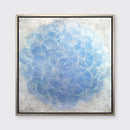 Dichondra - Limited Edition Canvas Print