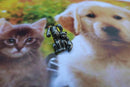 Dog and Cat Lapel Pin