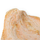 Sweet Potato Dog Chips | 5 oz | Dogalicious