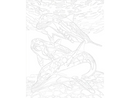 Dolphin Paint by Numbers Kit F07M1-6-Dolphin