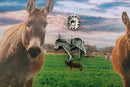 Donkey Lapel Pin