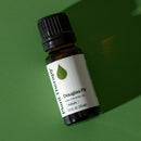 Douglas Fir Essential Oil