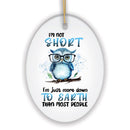 Down to Earth Owl Ceramic Ornament, Cute and Funny Christmas Gift