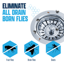 Drain and Fruit Fly Eliminator