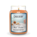 Beach Collection - Dreamsicle Cake Pop™, Large Jar Candle (Collective)