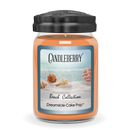 Beach Collection - Dreamsicle Cake Pop™, Large Jar Candle (Collective)