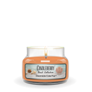 Beach Collection - Dreamsicle Cake Pop™, Small Jar Candle (Collective)