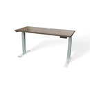 Atlas 54" Electric & Adjustable Stand-Up Computer Desk