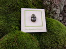 Dung Beetle Lapel Pin