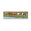 Assateague Wild Horses Sign | Real Art Print on Wood