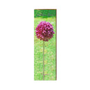 Yorktown Onion Sign | Real Art Print on Wood