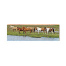 Assateague Island National Seashore Horse Sign | Real Art Print on Wood