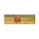 Assateague Island National Seashore Horse Sign | Real Art Print on Wood