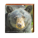 Blue Ridge Parkway Bear Sign | Real Art Print on Wood