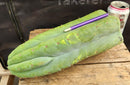#EC266 EXACT Trichocereus Pachanoi SKIP Cactus Cutting 11.5"