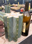 #EC268 Trichocereus hybrid Scopulicola Heynes X Peru Sharxx Blue “Roof Raiser” Cactus Cuttings