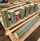 #EC293 EXACT Trichocereus Peruvianus TSSBP #536 Blue Peru Cactus Cuttings & Potted
