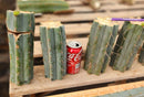 #EC293 EXACT Trichocereus Peruvianus TSSBP #536 Blue Peru Cactus Cuttings & Potted