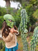 #EC61 EXACT Cereus Peruvianus Peruvian Apple Cactus 40"+