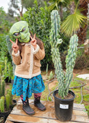 #EC61 EXACT Cereus Peruvianus Peruvian Apple Cactus 40"+