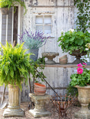 Lovecup French Country Courtyard Garden Pedestal 13" L191