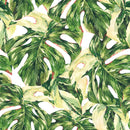 Voguish Monstera Wallpaper Vogue