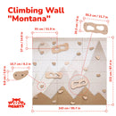 Climbing Wall Playground