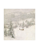 Horse in the Snow