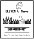 EVERGREEN FOREST