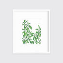 Earth Stars - Open Edition Paper Print