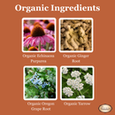 Echinacea Complex Herbal Tincture for Natural Immune Support* 1 oz.