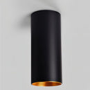 Eilin Ceiling Light