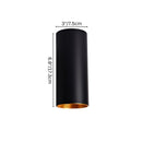 Eilin Ceiling Light