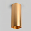 Eilin Ceiling Light