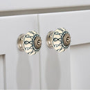 Elegant 1-3/5 in. (40mm) White & Green Cabinet Knob