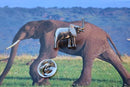 Elephant Lapel Pin