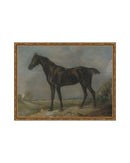 Study of a Horse II