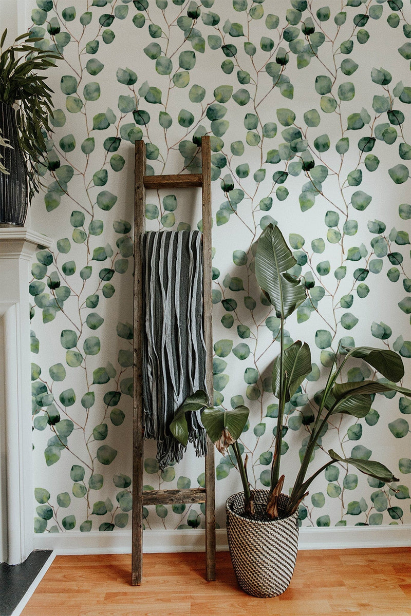 Eucalyptus Wallpaper - Removable Wallpaper - Self Adhesive WallPaper