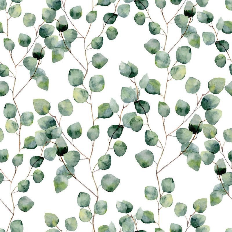 Eucalyptus Wallpaper - Removable Wallpaper - Self Adhesive WallPaper