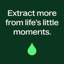 Eucalyptus Dives Essential Oil