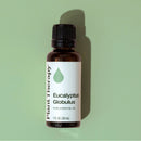 Eucalyptus Globulus Essential Oil