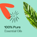 Eucalyptus Mint Essential Oil Blend